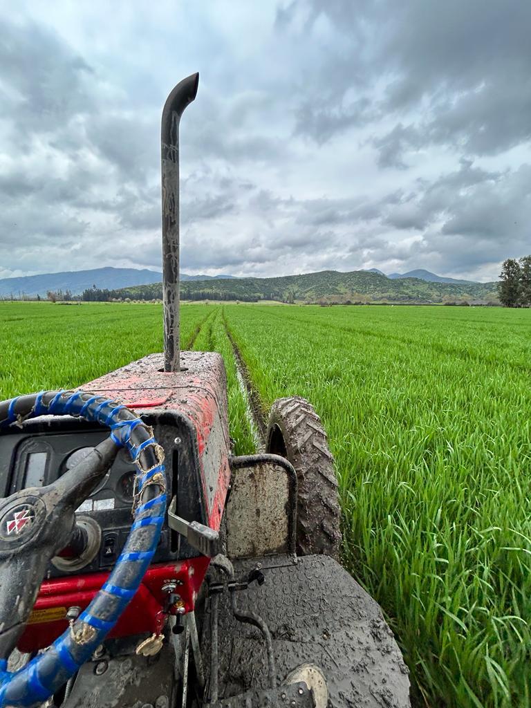 Producción agrícola responsable