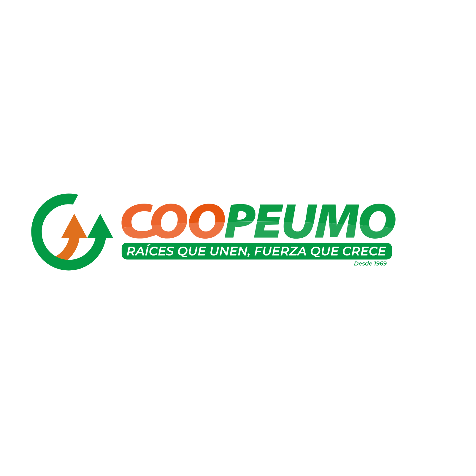 Capacitación técnica Coopeumo